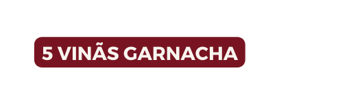 5 VINÃS GARNACHA